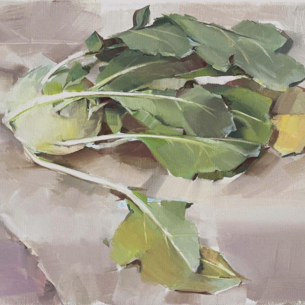 Kohlrabi