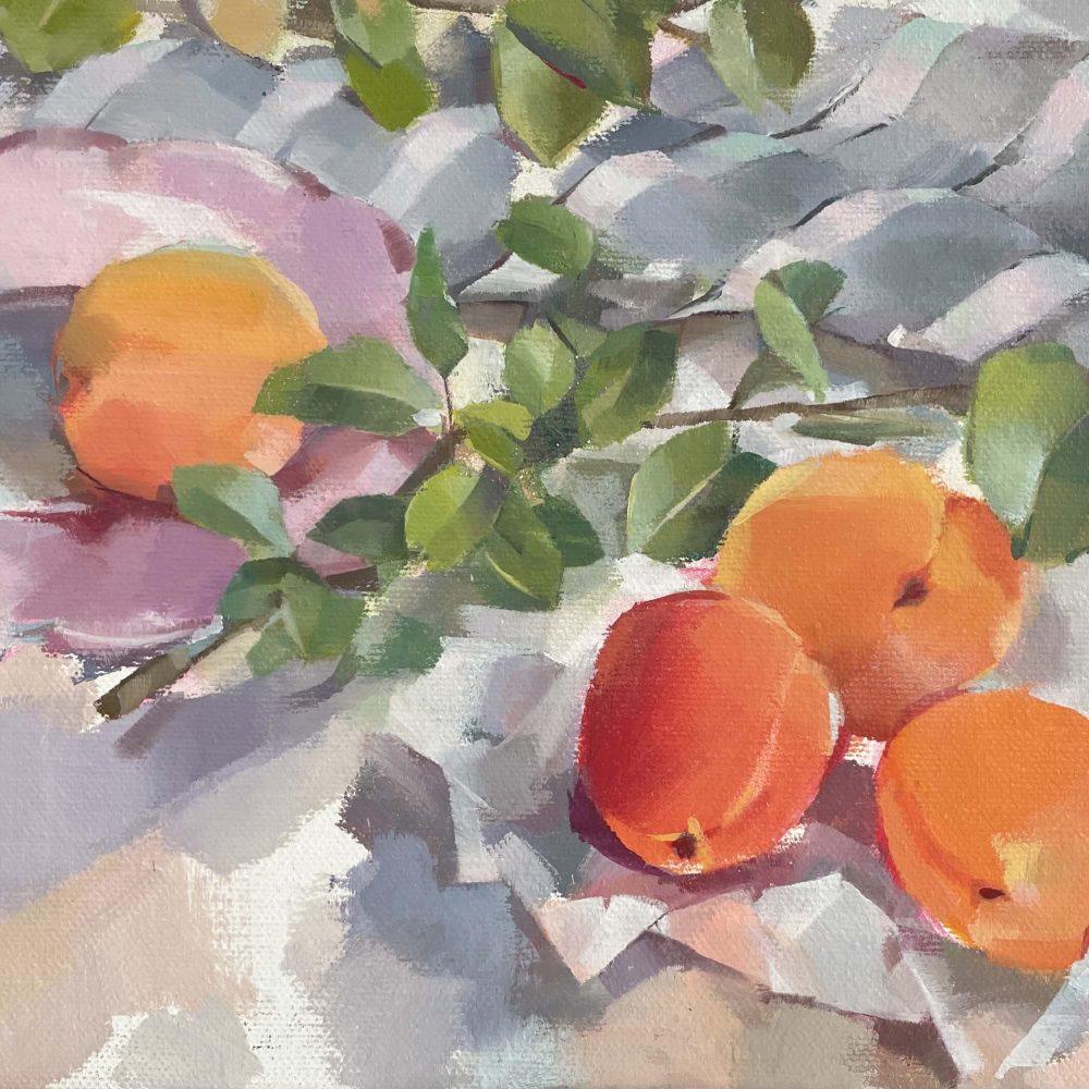Summer Apricots