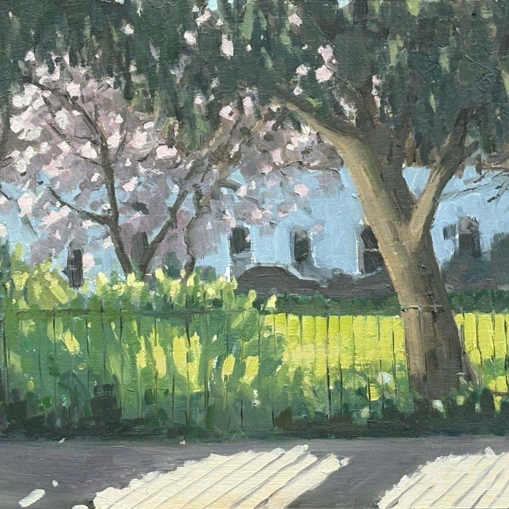 Paultons Square blossom